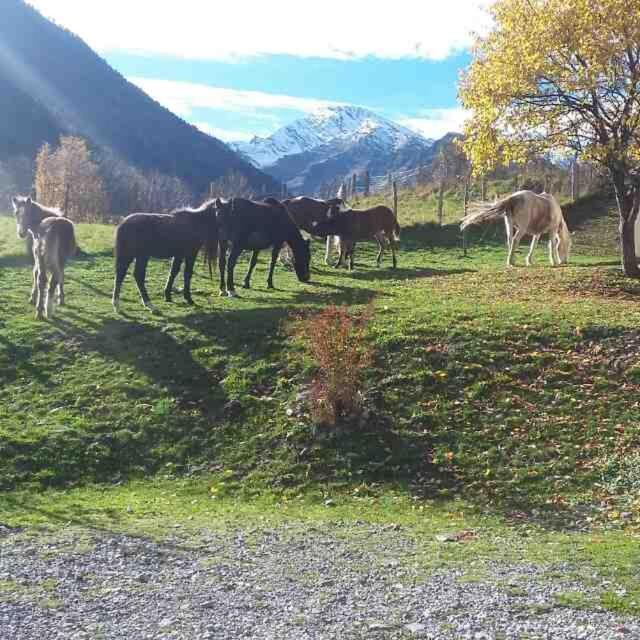 Les Chalets D'Aure. Aragnouet Luaran gambar